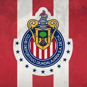 Meet your Posher, Sebastian